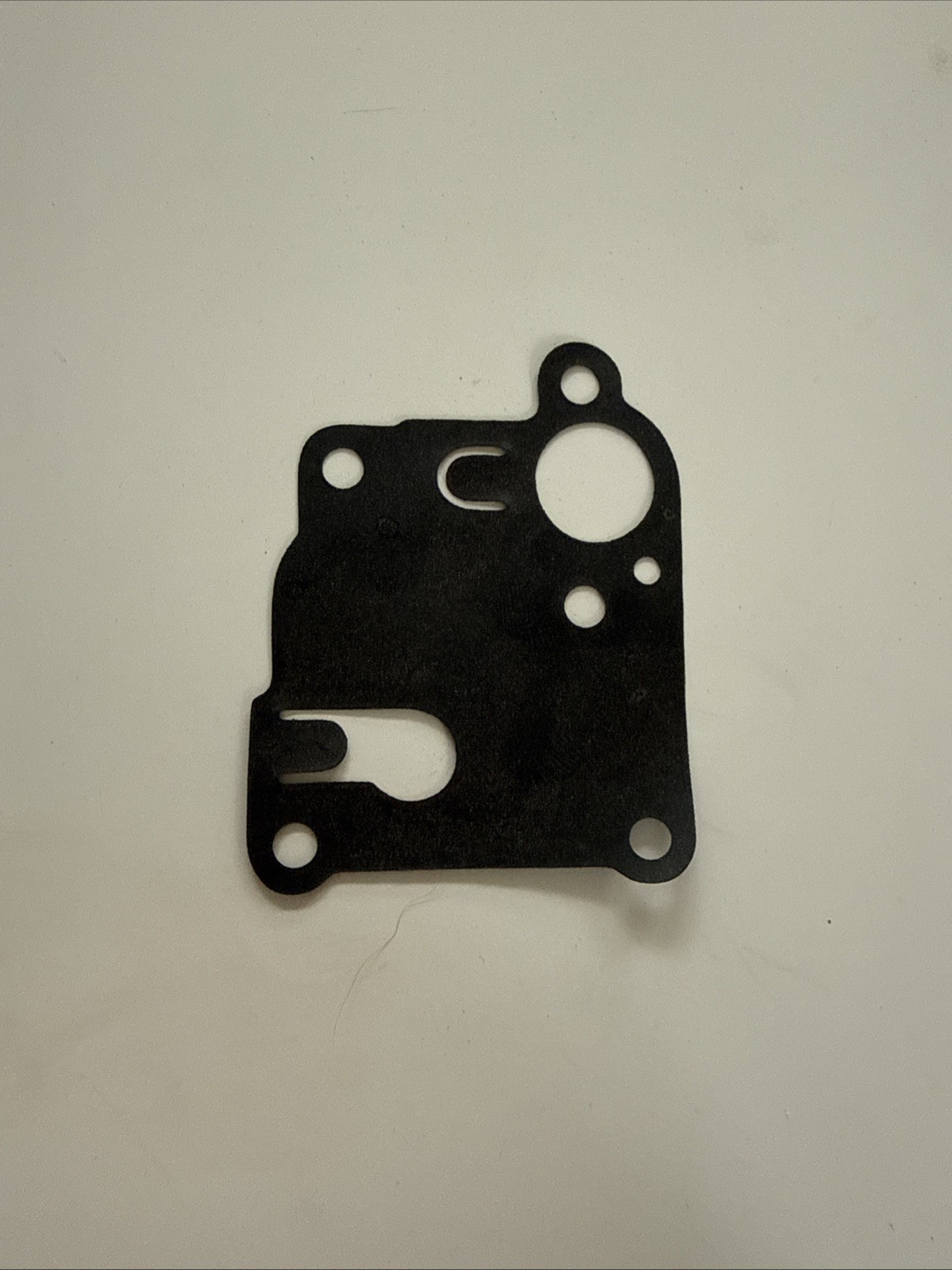 OEM Briggs & Stratton Carburetor Diaphragm 270253 - OEM Packaging product image