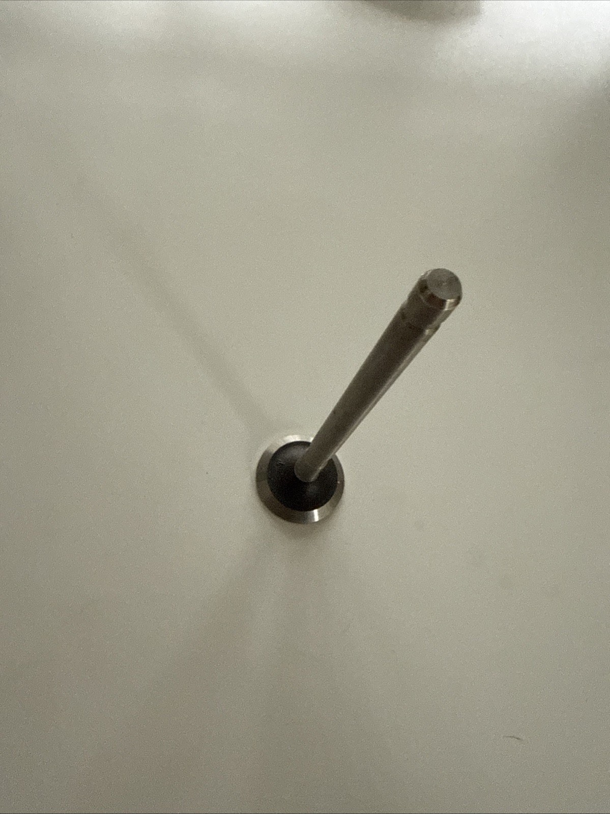 New Briggs & Stratton 261582 Exhaust Valve Genuine OEM Service Part product image